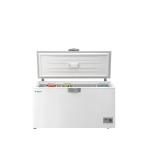 2501 Sandık Tipi Derin Dondurucu