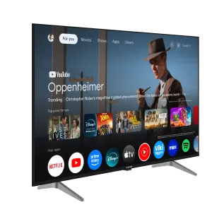 7 serisi 75" 4K UHD Google TV - A75 E 795 B Smart TV