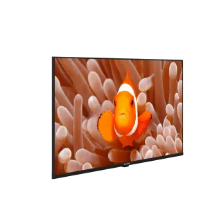 A43HF 500A4-A-BI Hotel Tv