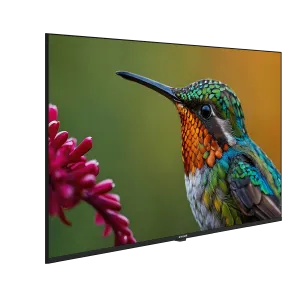 A55HU 500B2-A-BI Hotel Tv