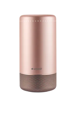 Asista ADA101 Rosegold Akıllı Asistan