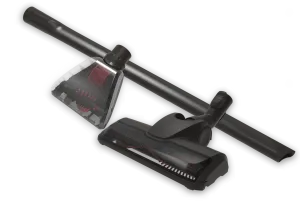 Evcil hayvan kiti Kitler