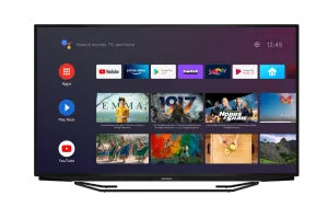 Grundig Belgrad 55 GFU 7905 Grundig TV