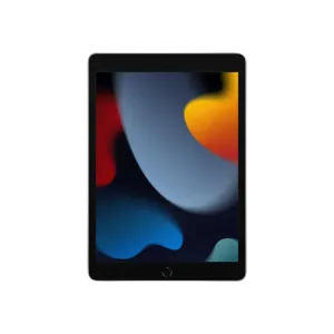 iPad 9.Nesil WiFi 256GB 10.2" Gümüş Tablet