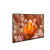 Resim
