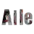 Resim