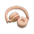 Resim