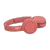 Resim