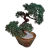 Resim