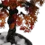 Resim