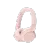 Resim