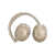 Resim