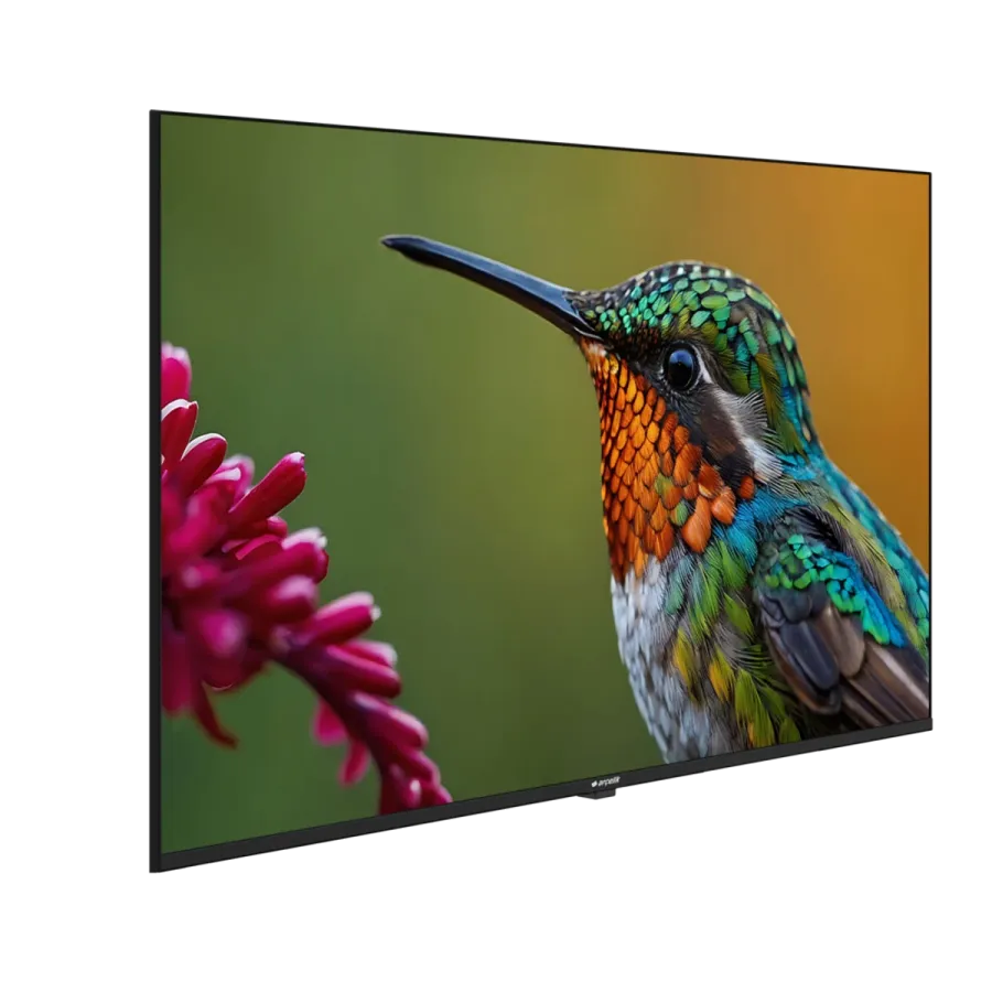 A43HU 500B2-A-BI Hotel Tv