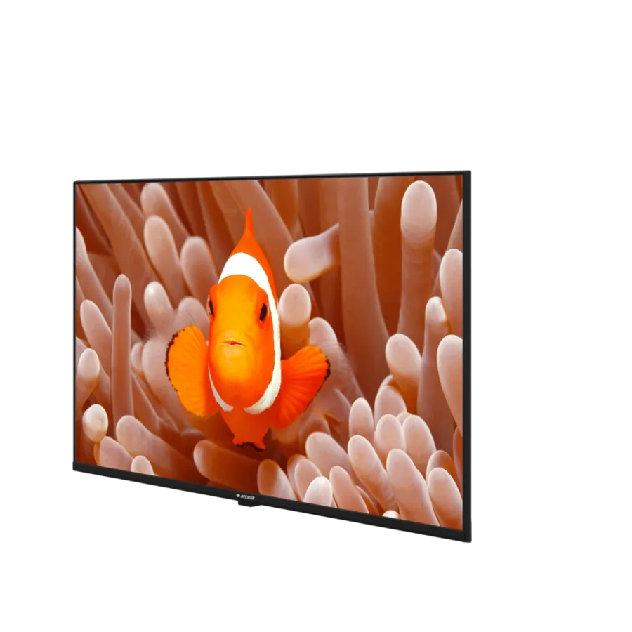 A43K 694G HOTEL TV Hotel Tv