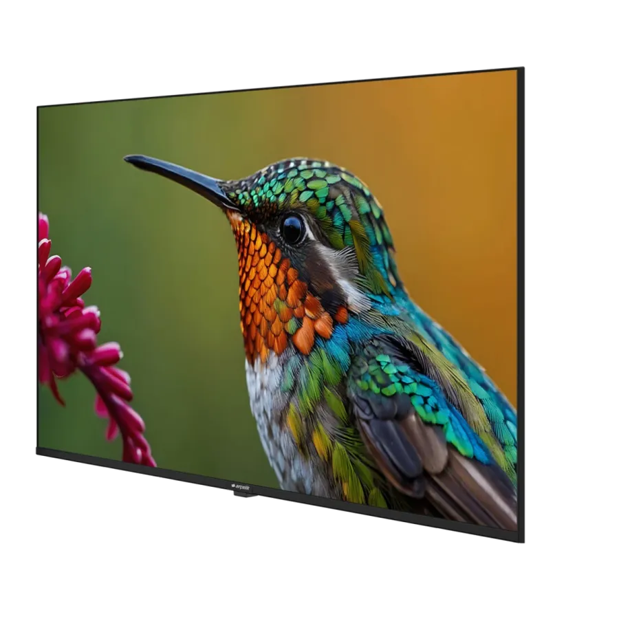 A55HU 500B2-A-BI Hotel Tv