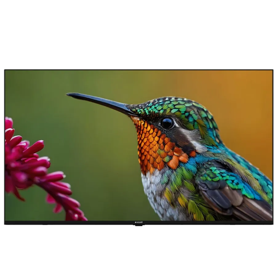 A65HU 500B2-A-BI Hotel Tv