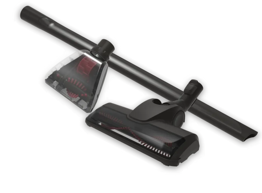 Evcil hayvan kiti Kitler